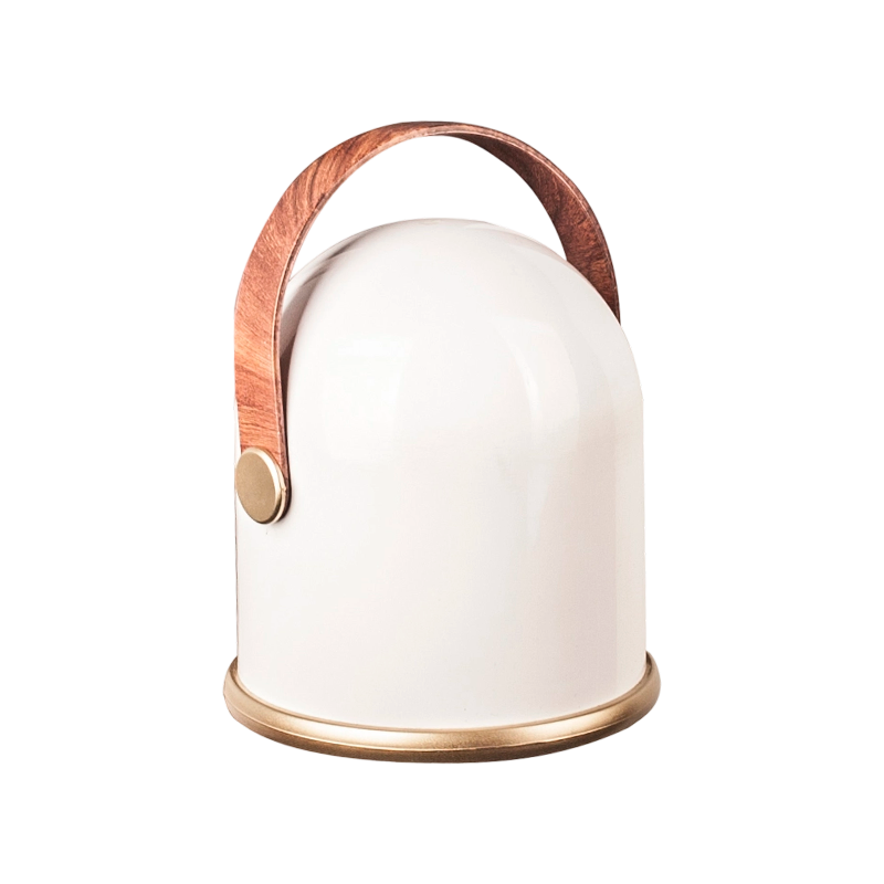 FJ-GH-18防水碳加热器,户外使用